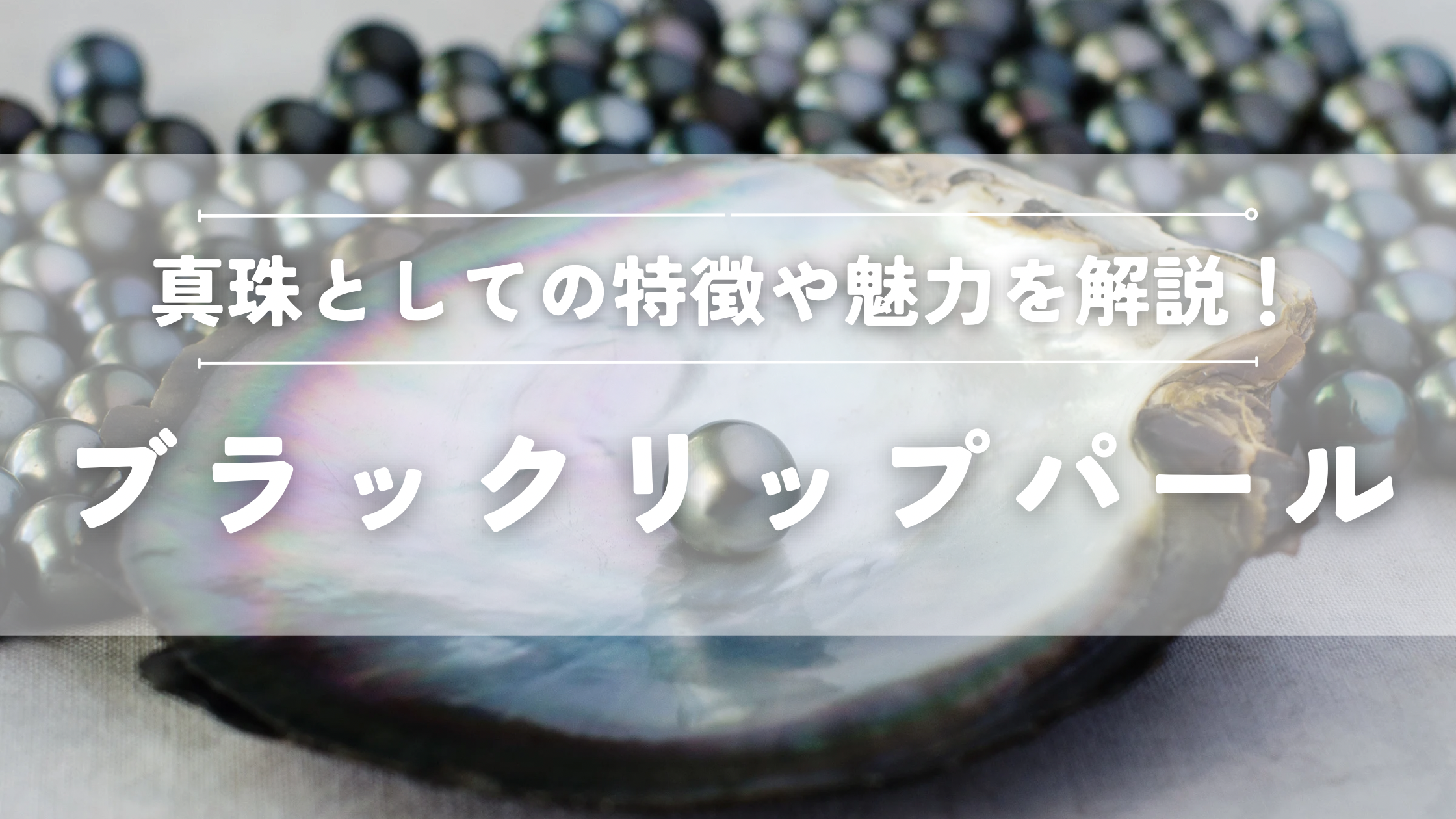 ブラックリップパールとは
